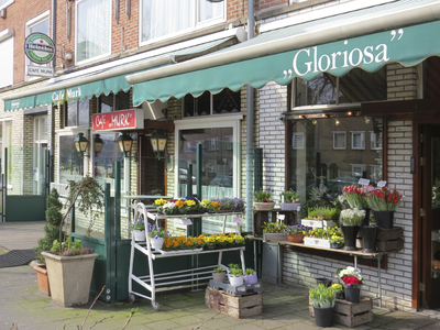 906824 Gezicht op de winkelpuien van Café Murk en Bloemenmagazijn Gloriosa (Anton Geesinkstraat 6-6a) te Utrecht.
